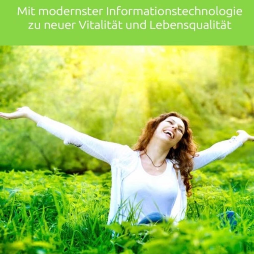 vita chip ebook cover