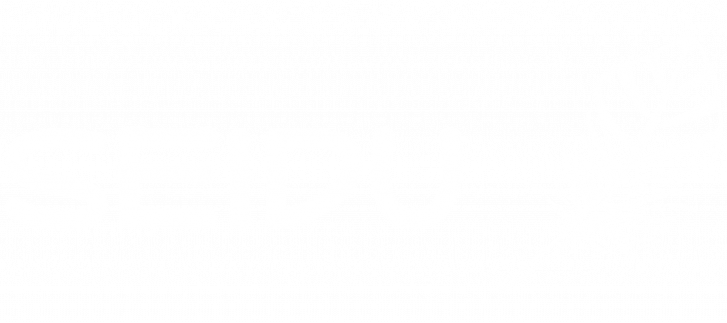 SEIDU Logo weiss