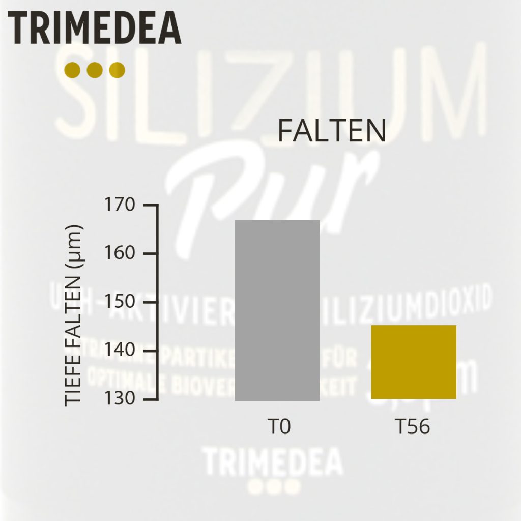 Silizium PUR Wirkung auf Falten
